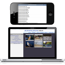 Usenet Central Web and Mobile Newsreaders